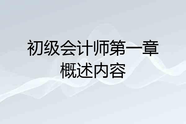 初级会计师第一章概述内容
