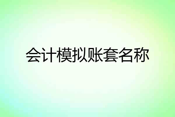 会计模拟账套名称