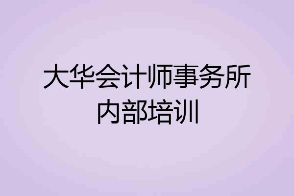 大华会计师事务所内部培训