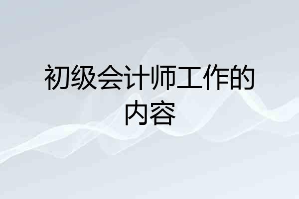 初级会计师工作的内容