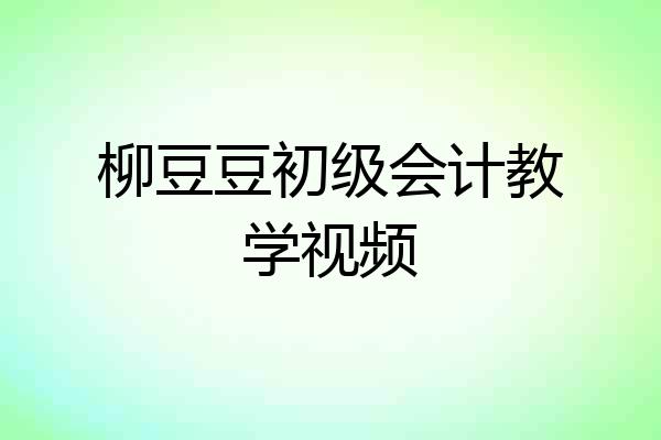 柳豆豆初级会计教学视频