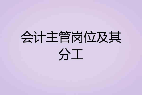 会计主管岗位及其分工
