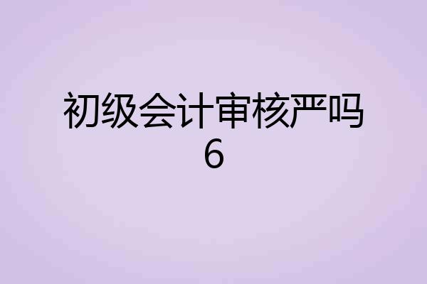 初级会计审核严吗6