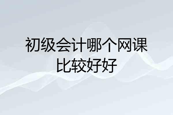 初级会计哪个网课比较好好