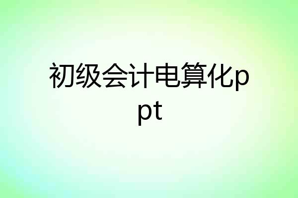初级会计电算化ppt