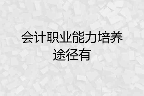 会计职业能力培养途径有