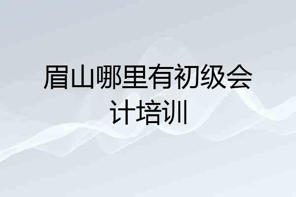 眉山哪里有初级会计培训