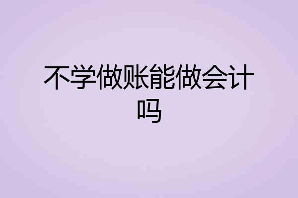 不学做账能做会计吗