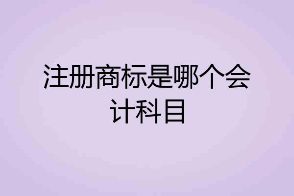 注册商标是哪个会计科目