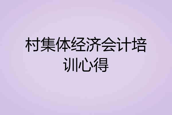 村集体经济会计培训心得