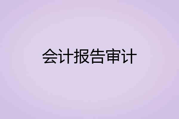 会计报告审计