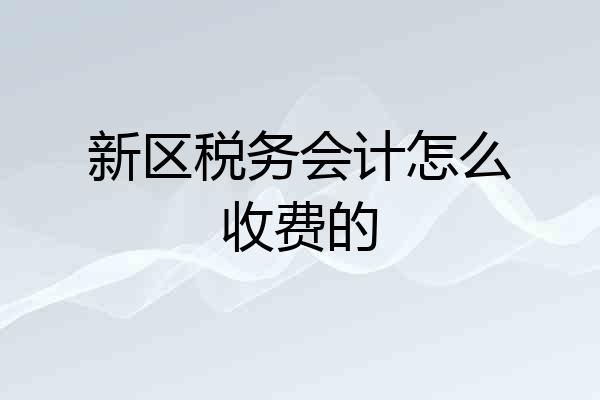新区税务会计怎么收费的