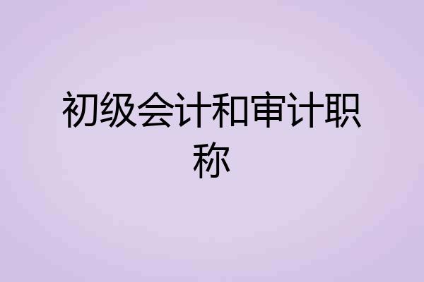初级会计和审计职称
