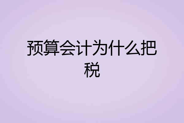 预算会计为什么把税