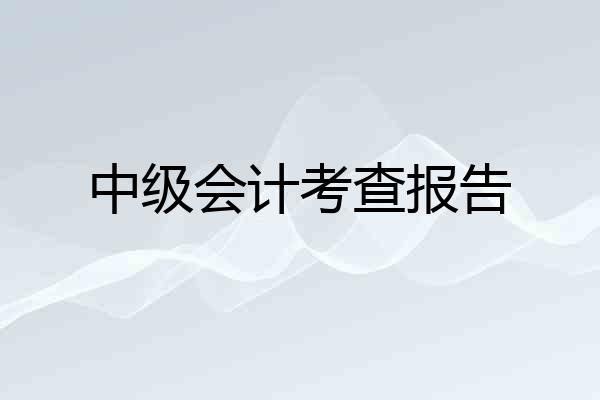 中级会计考查报告