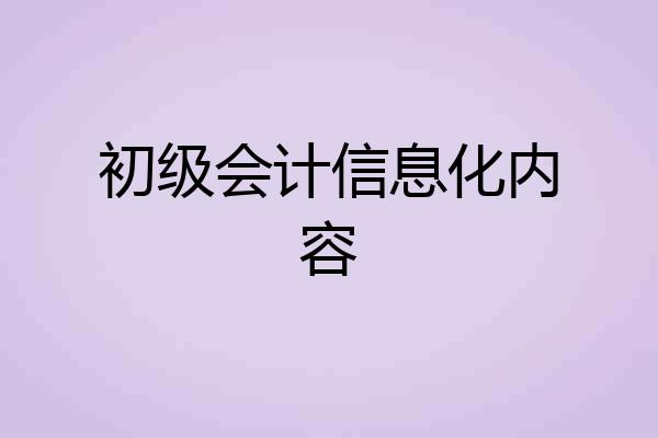 初级会计信息化内容