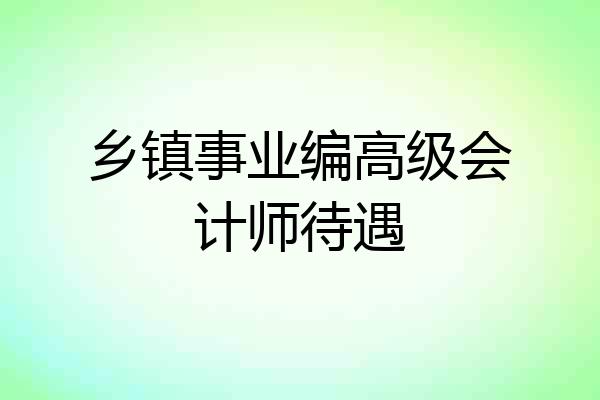乡镇事业编高级会计师待遇