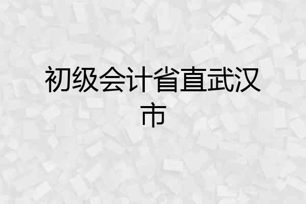 初级会计省直武汉市