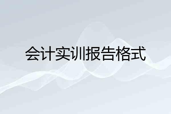 会计实训报告格式
