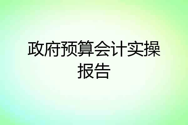 政府预算会计实操报告