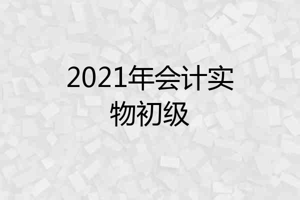 2021年会计实物初级