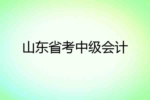 山东省考中级会计