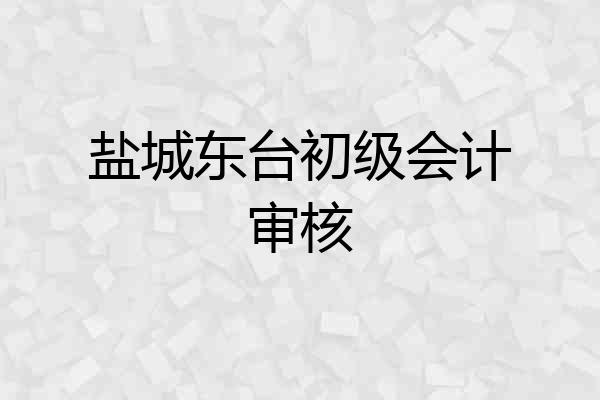 盐城东台初级会计审核