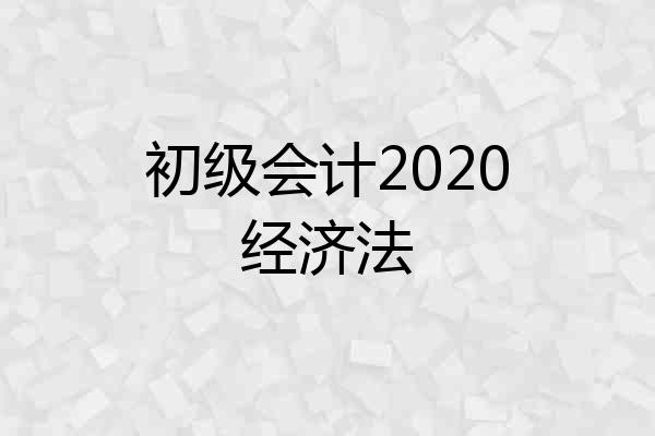 初级会计2020经济法