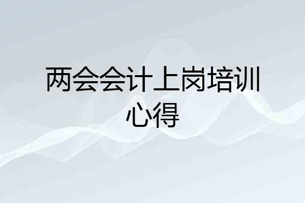 两会会计上岗培训心得