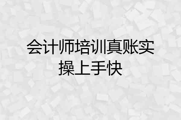 会计师培训真账实操上手快
