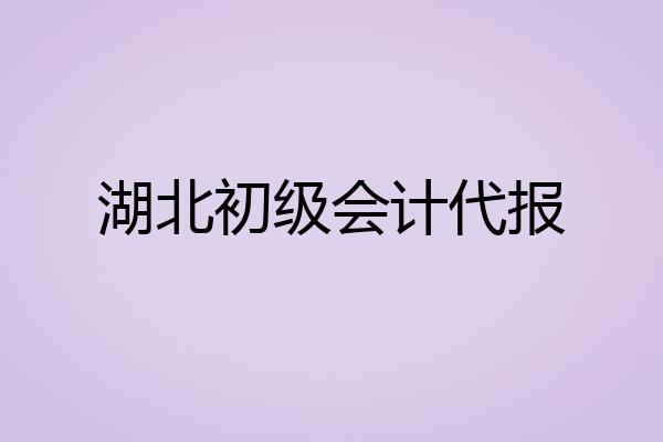 湖北初级会计代报