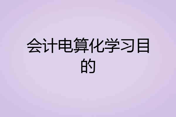 会计电算化学习目的