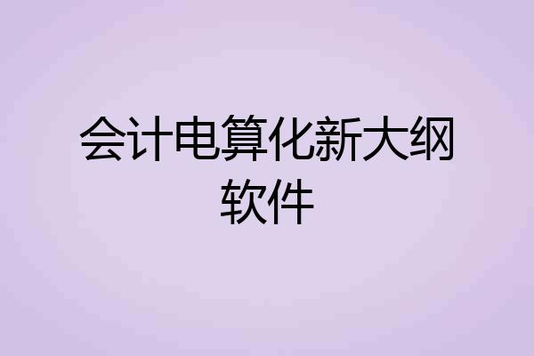 会计电算化新大纲软件