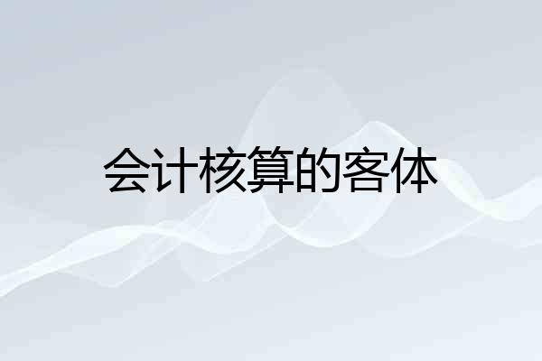 会计核算的客体