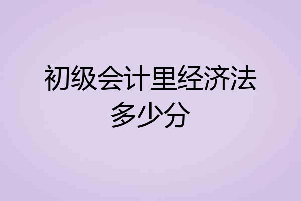 初级会计里经济法多少分