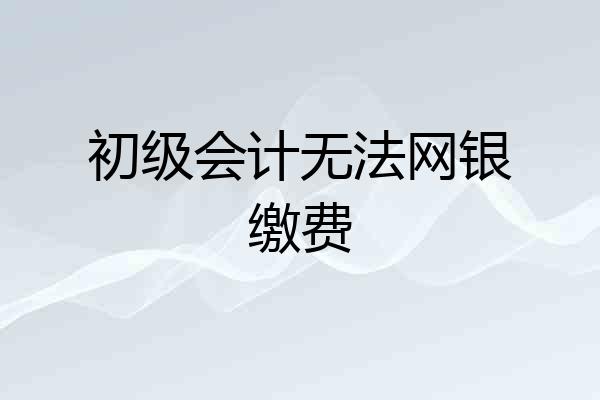 初级会计无法网银缴费