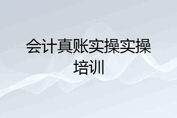会计真账实操实操培训