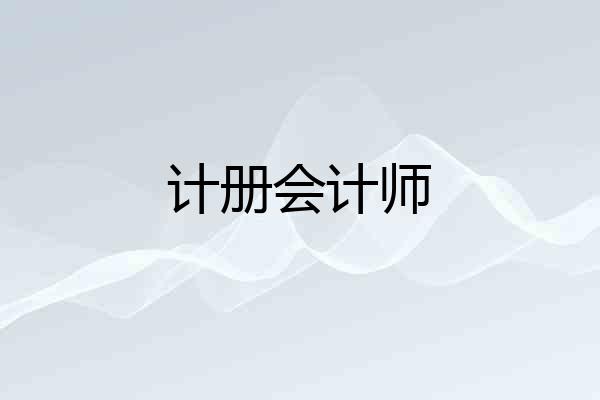 计册会计师