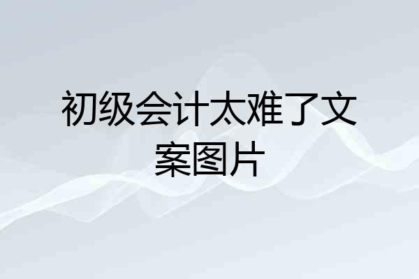 初级会计太难了文案图片