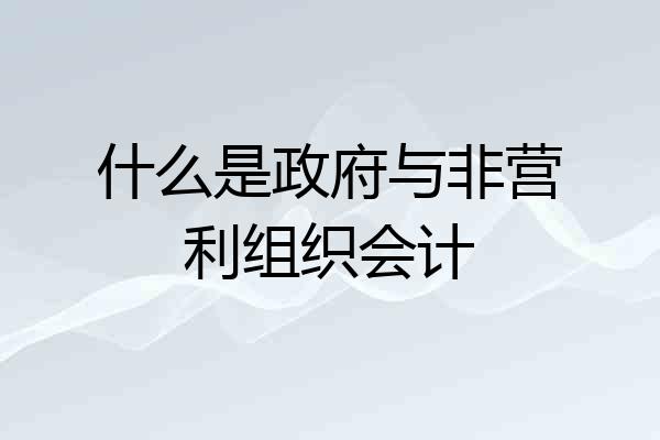 什么是政府与非营利组织会计