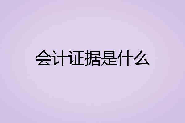 会计证据是什么
