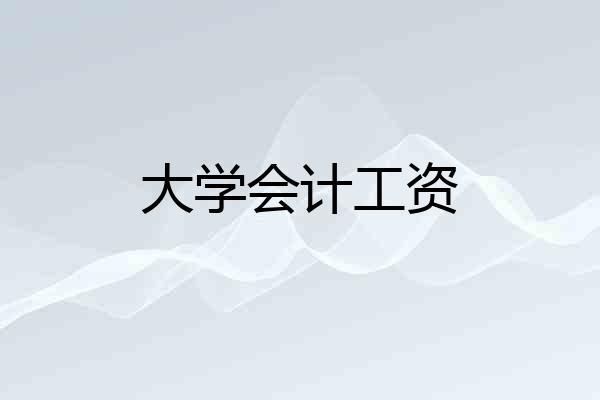 大学会计工资