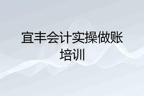 宜丰会计实操做账培训