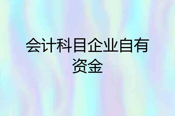 会计科目企业自有资金