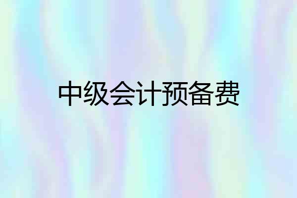 中级会计预备费