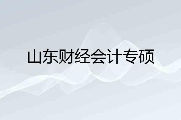 山东财经会计专硕