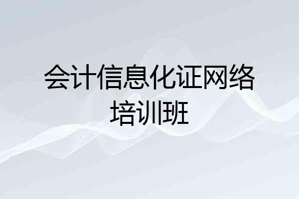 会计信息化证网络培训班