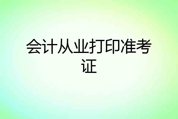会计从业打印准考证