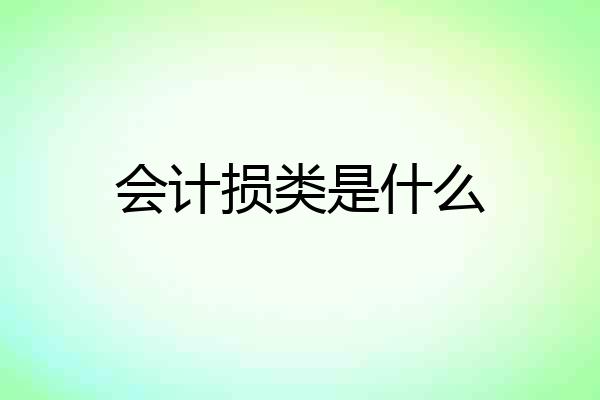 会计损类是什么