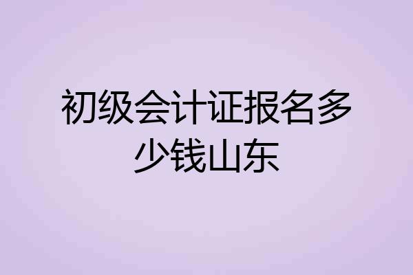 初级会计证报名多少钱山东